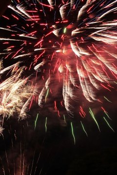 t_IMG_5440.jpg